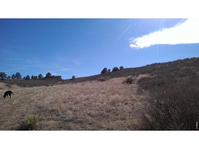 4318 Green Mile Dr, Laporte, CO 80535