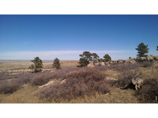 4318 Green Mile Dr, Laporte, CO 80535