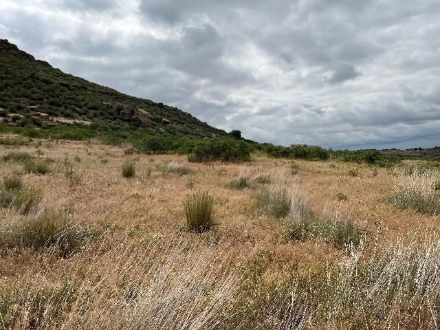 4318 Green Mile Dr, Laporte, CO 80535