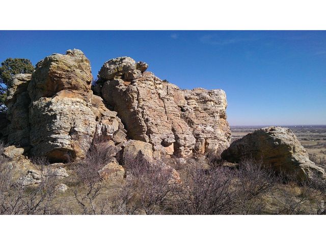 4318 Green Mile Dr, Laporte, CO 80535