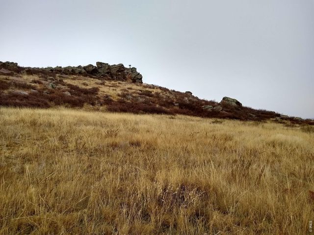 4318 Green Mile Dr, Laporte, CO 80535