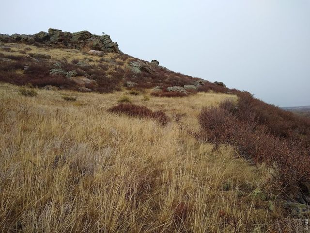 4318 Green Mile Dr, Laporte, CO 80535