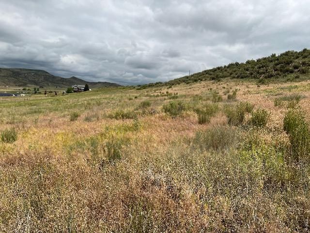 4318 Green Mile Dr, Laporte, CO 80535