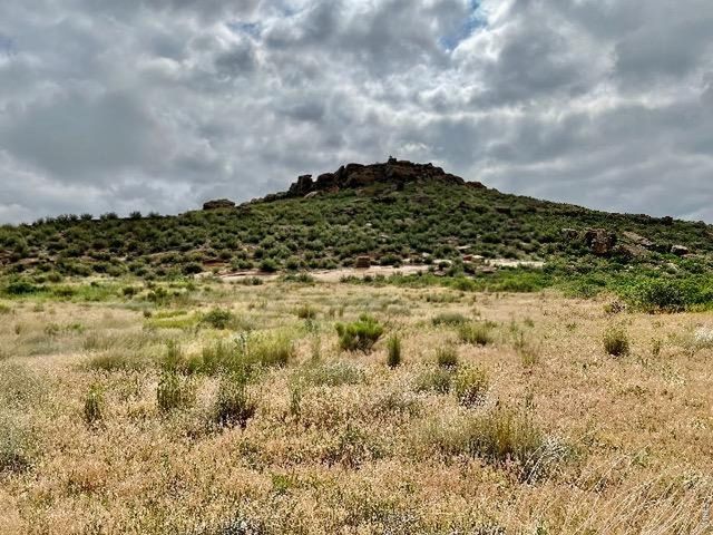 4318 Green Mile Dr, Laporte, CO 80535