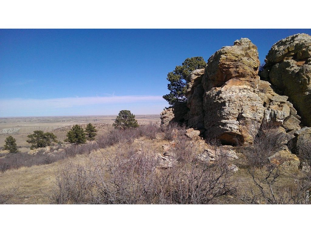 4318 Green Mile Dr, Laporte, CO 80535