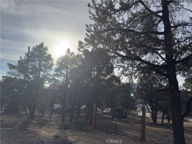 1820 Golden Rod, Big Bear City, CA 92314