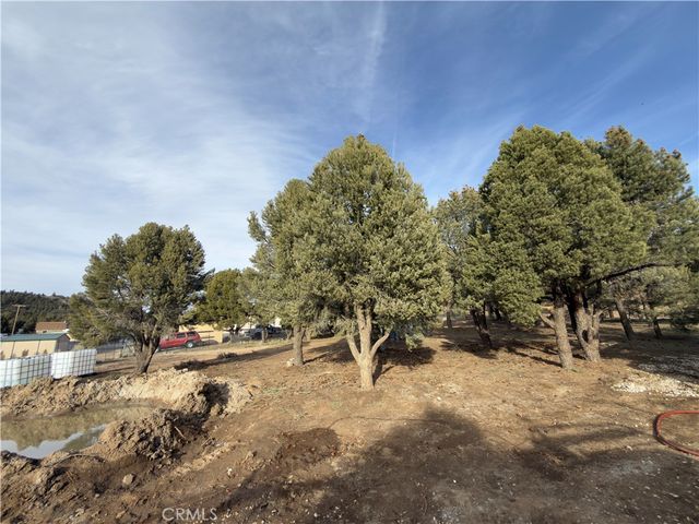 1820 Golden Rod, Big Bear City, CA 92314