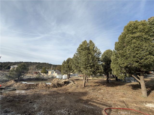1820 Golden Rod, Big Bear City, CA 92314