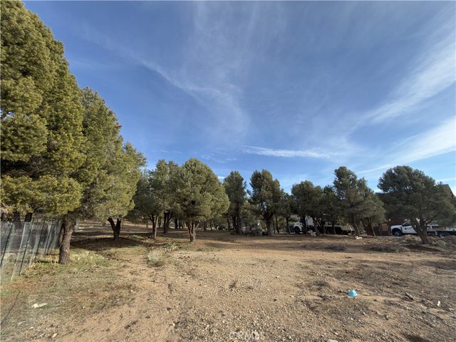 1820 Golden Rod, Big Bear City, CA 92314