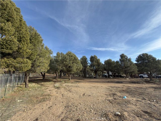 1820 Golden Rod, Big Bear City, CA 92314