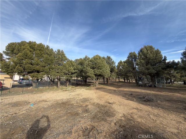 1820 Golden Rod, Big Bear City, CA 92314