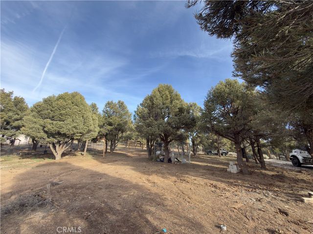 1820 Golden Rod, Big Bear City, CA 92314