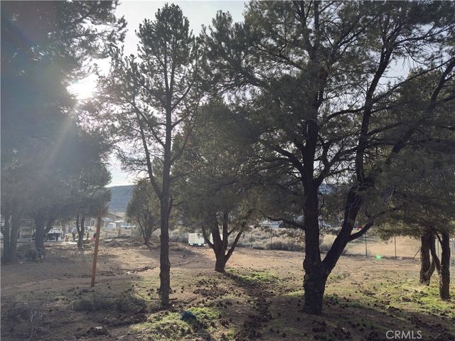 1820 Golden Rod, Big Bear City, CA 92314