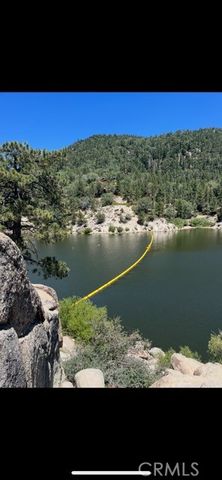 1820 Golden Rod, Big Bear City, CA 92314
