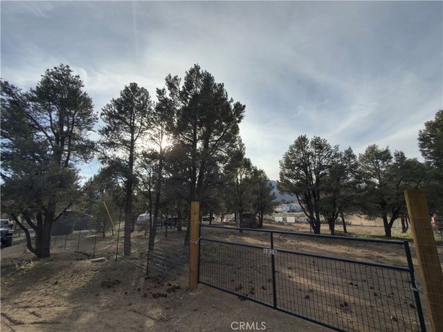 1820 Golden Rod, Big Bear City, CA 92314