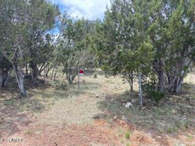 3405 Buckhorn Bend, Overgaard, AZ 85933