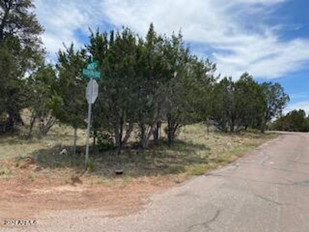 3405 Buckhorn Bend, Overgaard, AZ 85933