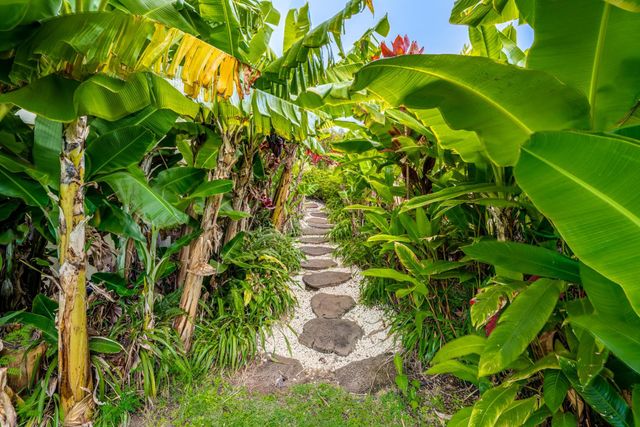 214 Kulamanu Cir, Kula, HI 96790