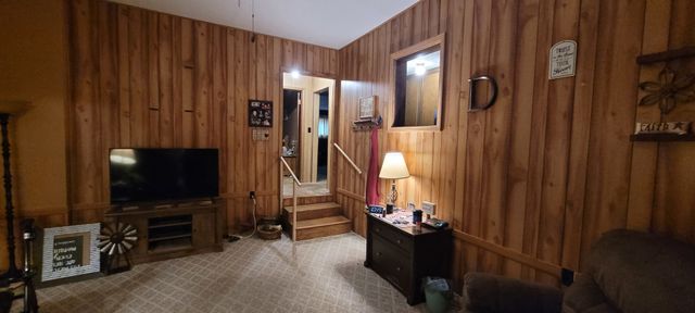 17860 N Woodlawn Lane, Woodlawn, IL 62898