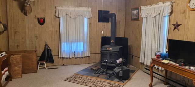 17860 N Woodlawn Lane, Woodlawn, IL 62898