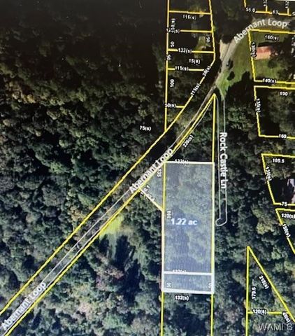 0 Rock Castle, Vance, AL 35490