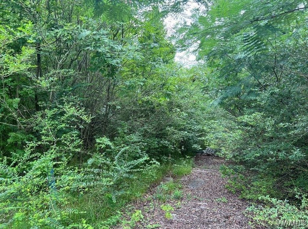 0 Rock Castle, Vance, AL 35490