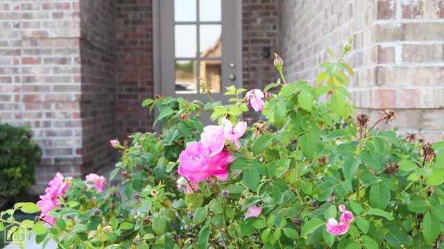 303 Hollis Street, Bono, AR 72416