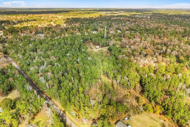 4325 Honea Egypt Rd, Montgomery, TX 77316