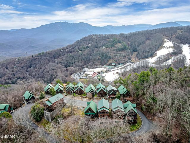 1253 Bear Cub Way, Gatlinburg, TN 37738