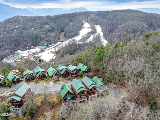 1253 Bear Cub Way, Gatlinburg, TN 37738