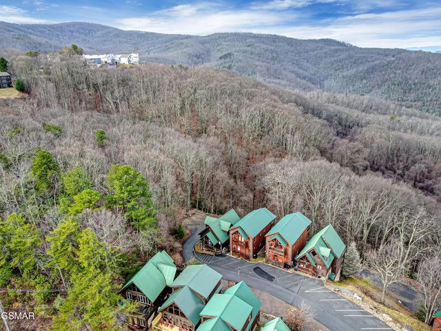 1253 Bear Cub Way, Gatlinburg, TN 37738