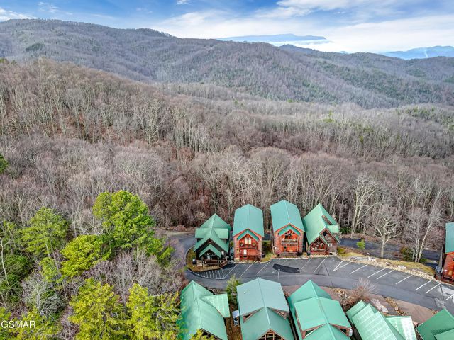 1253 Bear Cub Way, Gatlinburg, TN 37738