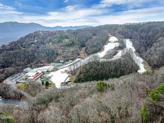 1253 Bear Cub Way, Gatlinburg, TN 37738