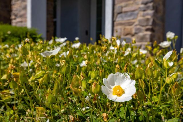 3029 Via De Todos Santos, Fallbrook, CA 92028