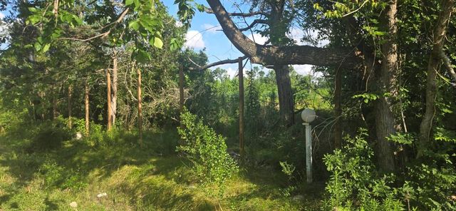 1038 Wall Street, Houston, TX 77088