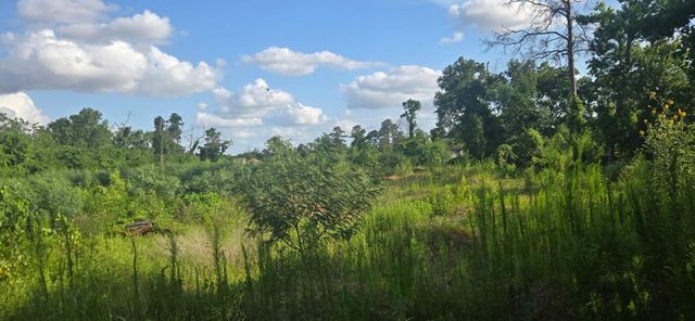 1038 Wall Street, Houston, TX 77088