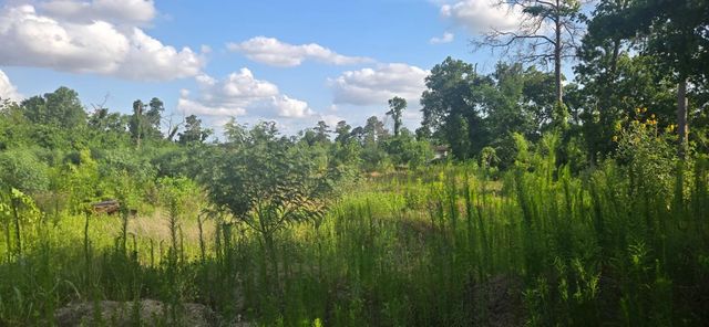 1038 Wall Street, Houston, TX 77088