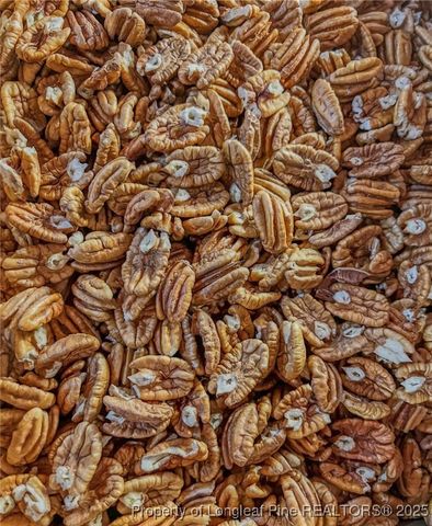 2616 NC 41, Lumberton, NC 28358