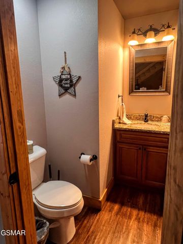 1117 Anastasia Way, Gatlinburg, TN 37738