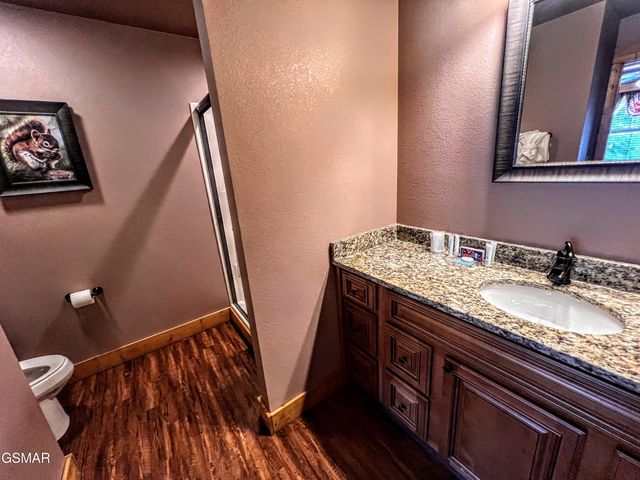 1117 Anastasia Way, Gatlinburg, TN 37738