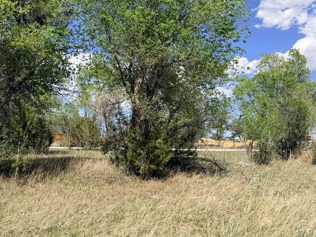 1055 3rd St, Penrose, CO 81240