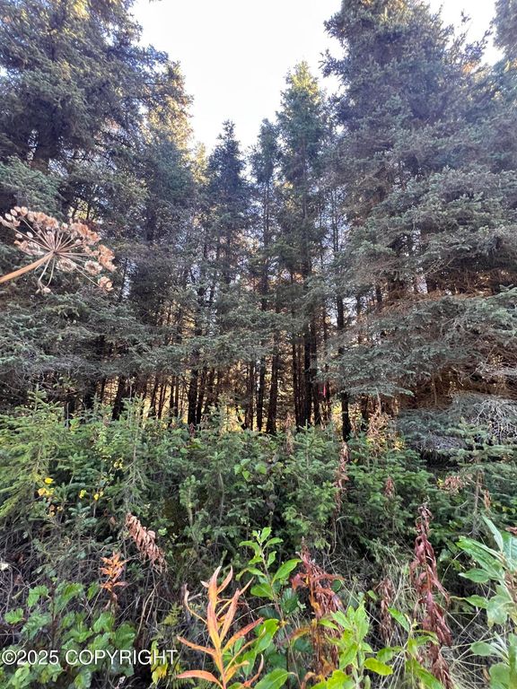 L8 Shegota Loop, Ninilchik, AK 99639