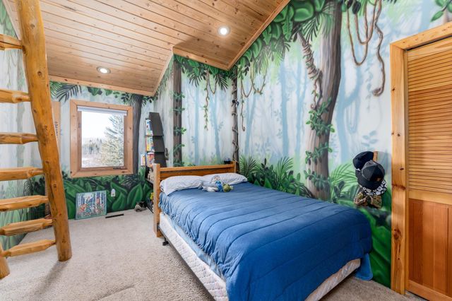 16196 Zigmund Drive, Fifty Lakes, MN 56448