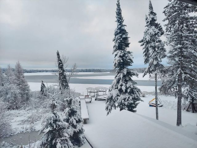 16196 Zigmund Drive, Fifty Lakes, MN 56448