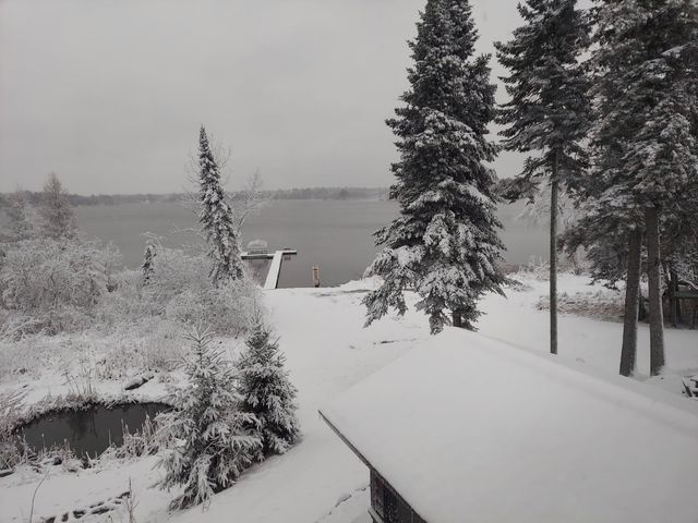 16196 Zigmund Drive, Fifty Lakes, MN 56448