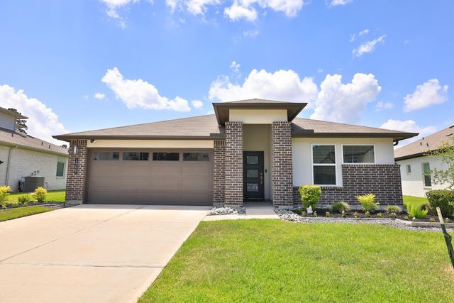 14209 Silver Maple Court, Conroe, TX 77384