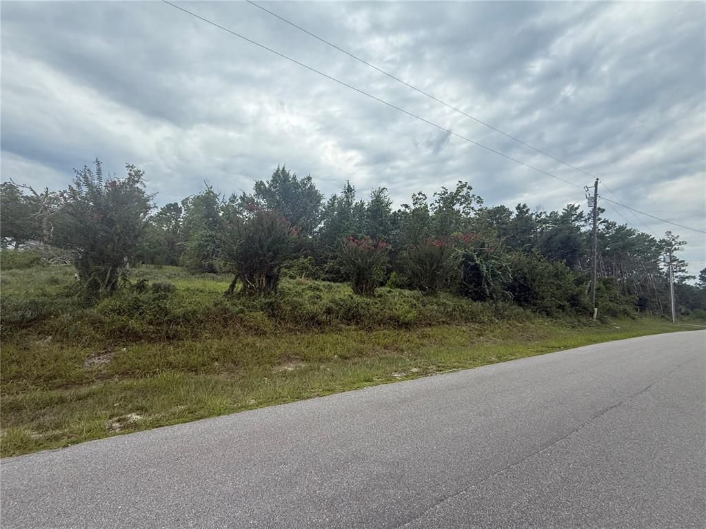 31514 DIVISION STREET, Deland, FL 32720
