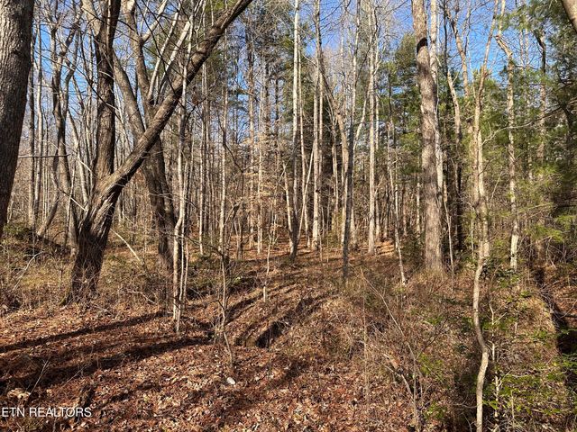 14.56 Acres Hwy 52, Robbins, TN 37852