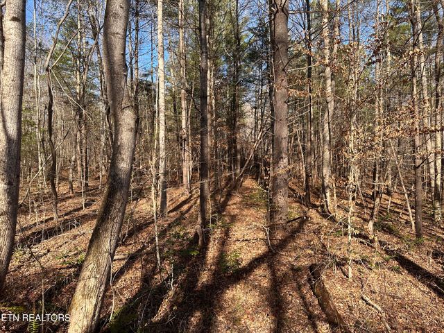 14.56 Acres Hwy 52, Robbins, TN 37852