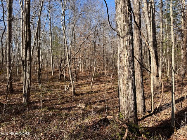 14.56 Acres Hwy 52, Robbins, TN 37852